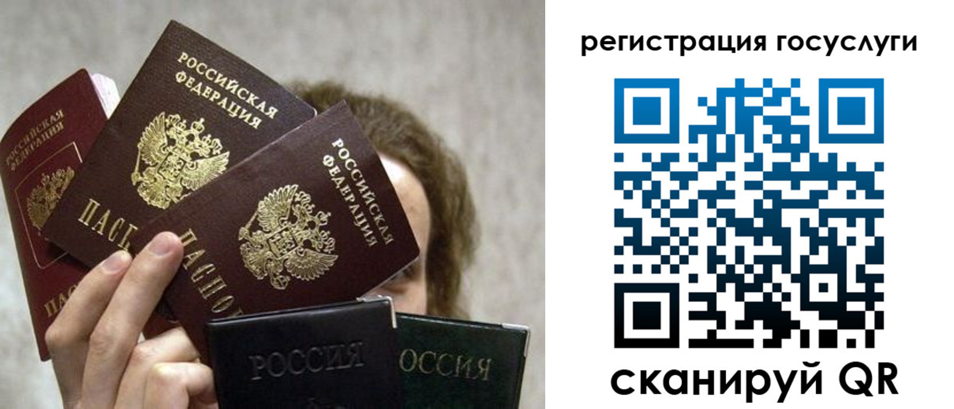 временная регистрация поиск в Электрогорске